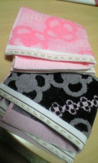 �F�������z����